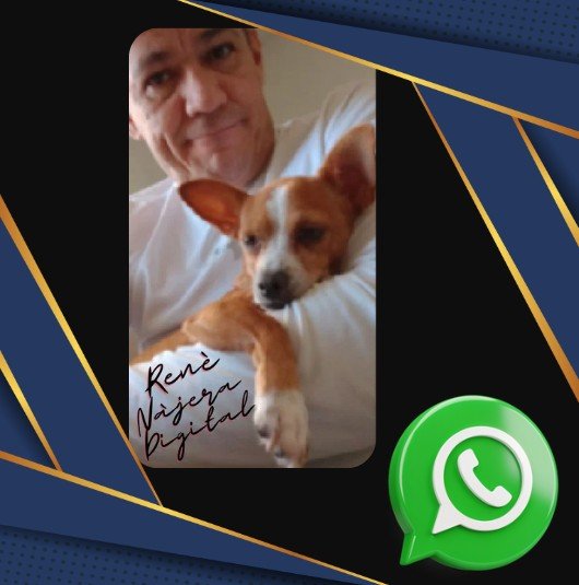 Comarca Lagunera Online Contacto via WhatsApp con René Nájera Digital contacto via WhatsApp Comarca Lagunera Online Contacto via WhatsApp con René Nájera Digital contacto via WhatsApp